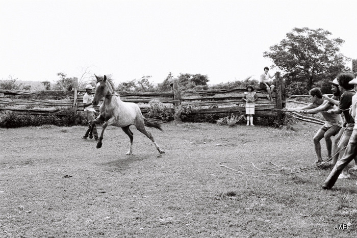 AÑO 1990 - BLANCO Y NEGRO - VIDA CAMPESINA EN PARAGUAY (JOSÉ MARÍA BLANCH)